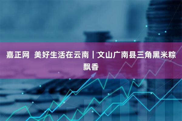 嘉正网  美好生活在云南｜文山广南县三角黑米粽飘香