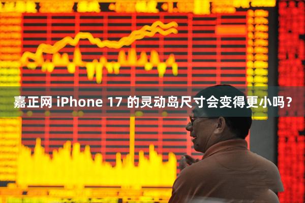 嘉正网 iPhone 17 的灵动岛尺寸会变得更小吗？
