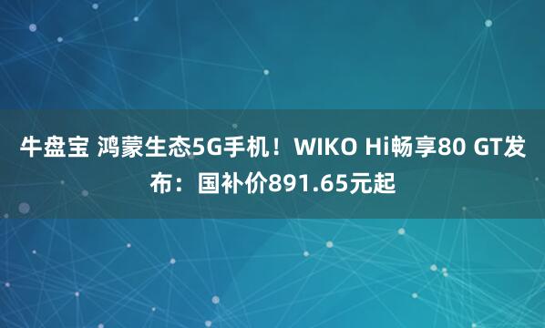 牛盘宝 鸿蒙生态5G手机！WIKO Hi畅享80 GT发布：国补价891.65元起
