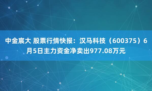 中金宸大 股票行情快报：汉马科技（600375）6月5日主力资金净卖出977.08万元
