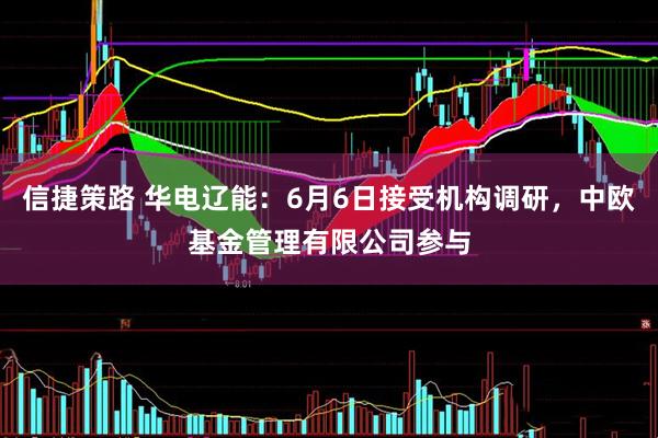 信捷策路 华电辽能：6月6日接受机构调研，中欧基金管理有限公司参与