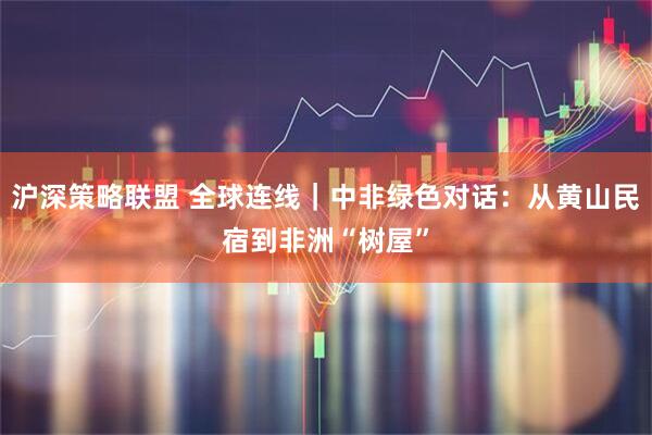 沪深策略联盟 全球连线｜中非绿色对话：从黄山民宿到非洲“树屋”