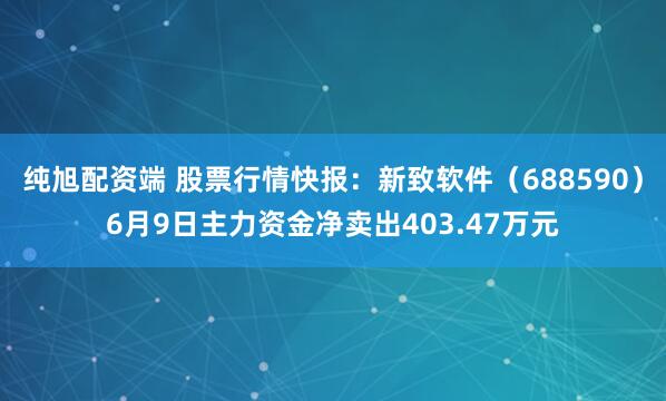 纯旭配资端 股票行情快报：新致软件（688590）6月9日主力资金净卖出403.47万元