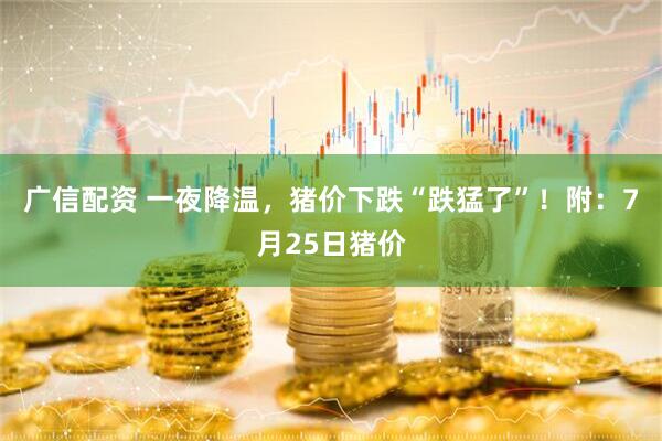 广信配资 一夜降温，猪价下跌“跌猛了”！附：7月25日猪价