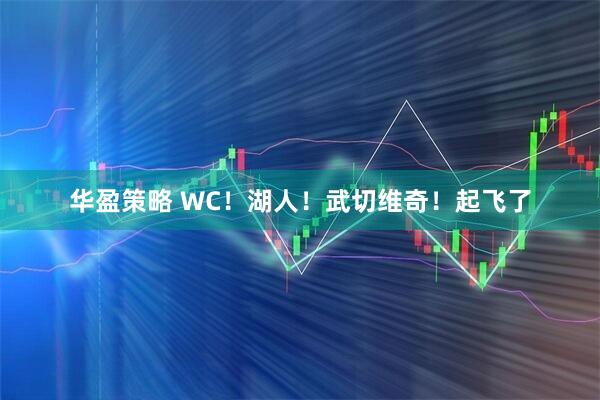 华盈策略 WC！湖人！武切维奇！起飞了