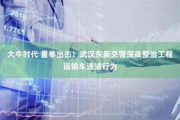 大牛时代 重拳出击！武汉东新交警深夜整治工程运输车违法行为