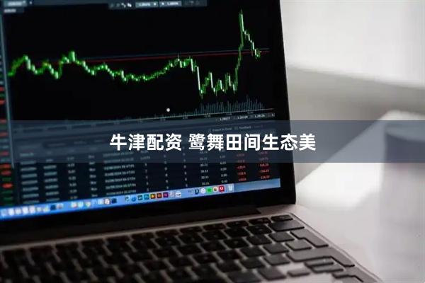 牛津配资 鹭舞田间生态美
