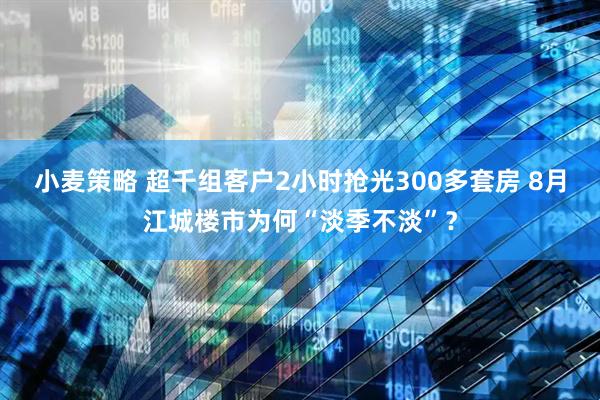 小麦策略 超千组客户2小时抢光300多套房 8月江城楼市为何“淡季不淡”？
