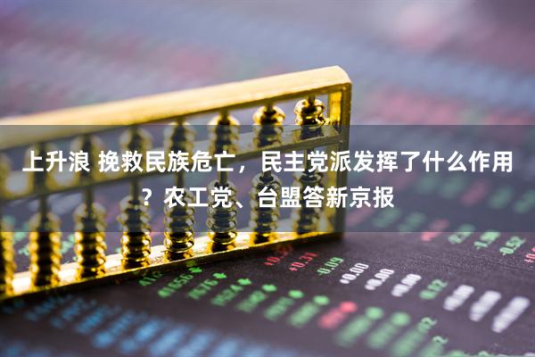 上升浪 挽救民族危亡，民主党派发挥了什么作用？农工党、台盟答新京报