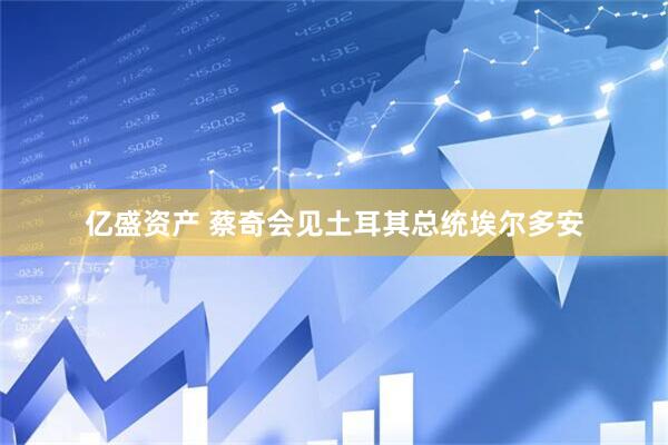 亿盛资产 蔡奇会见土耳其总统埃尔多安