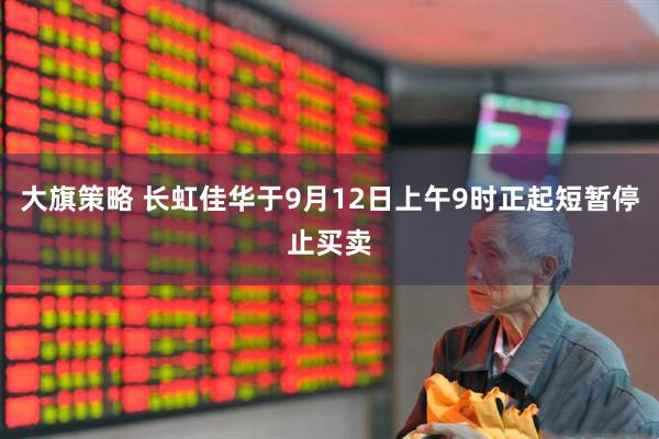 大旗策略 长虹佳华于9月12日上午9时正起短暂停止买卖