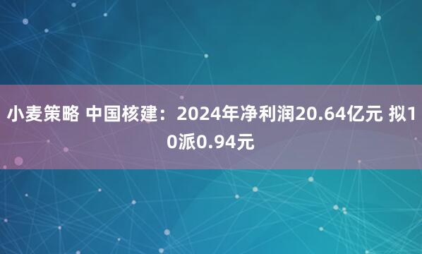 小麦策略 中国核建：2024年净利润20.64亿元 拟10派0.94元