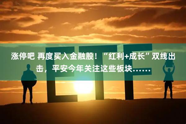 涨停吧 再度买入金融股！“红利+成长”双线出击，平安今年关注这些板块……